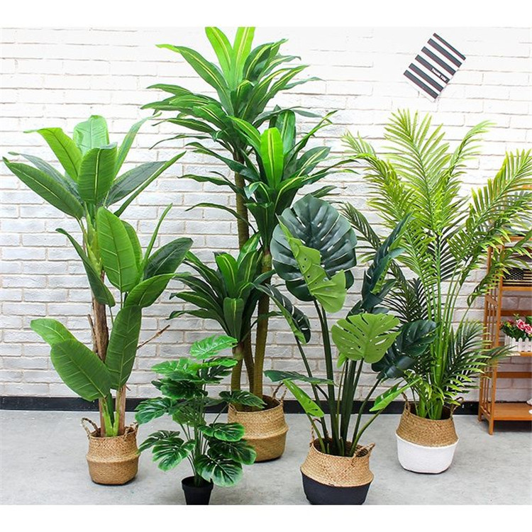仿真植物與植物該如何一起巧妙利用 仿真植物與植物該如何一起巧妙利用